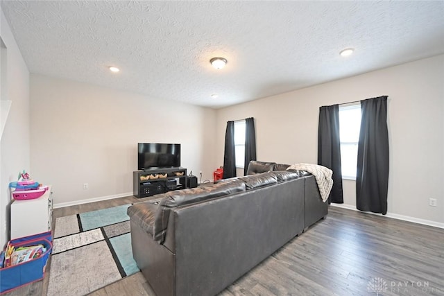 living room featuring a wealth of natural light, baseboards, and wood finished floors