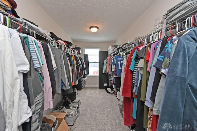 walk in closet with carpet flooring