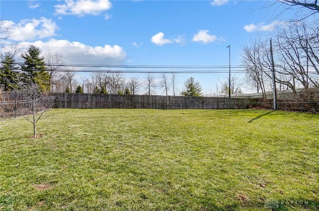 view of yard with a fenced backyard