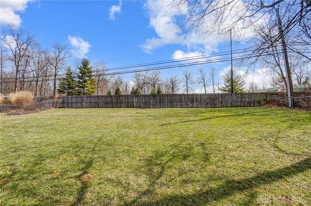 view of yard featuring a fenced backyard