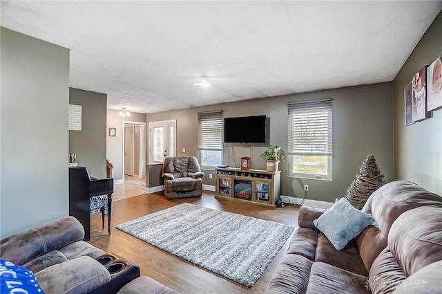 living room with baseboards and wood finished floors