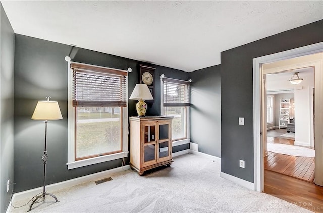 miscellaneous room featuring carpet floors, visible vents, and baseboards