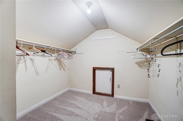 spacious closet with lofted ceiling and carpet flooring