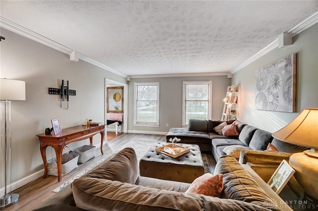 living area with a textured ceiling, baseboards, wood finished floors, and crown molding