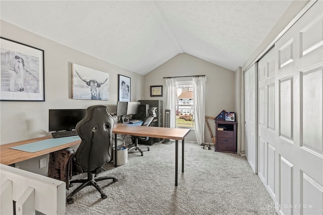 office space with lofted ceiling, carpet floors, and a textured ceiling