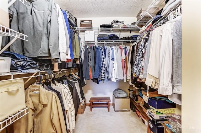 walk in closet featuring carpet