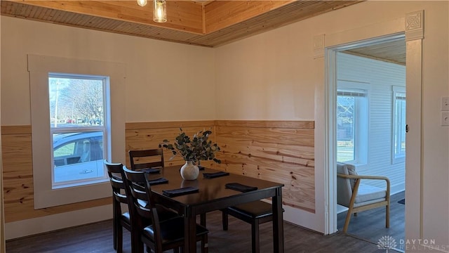 dining space featuring a wainscoted wall, dark wood finished floors, and wood walls