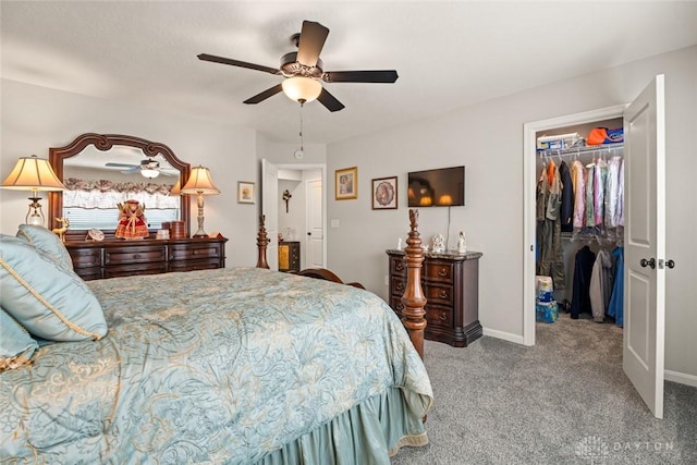 bedroom featuring baseboards, a ceiling fan, a walk in closet, carpet flooring, and a closet