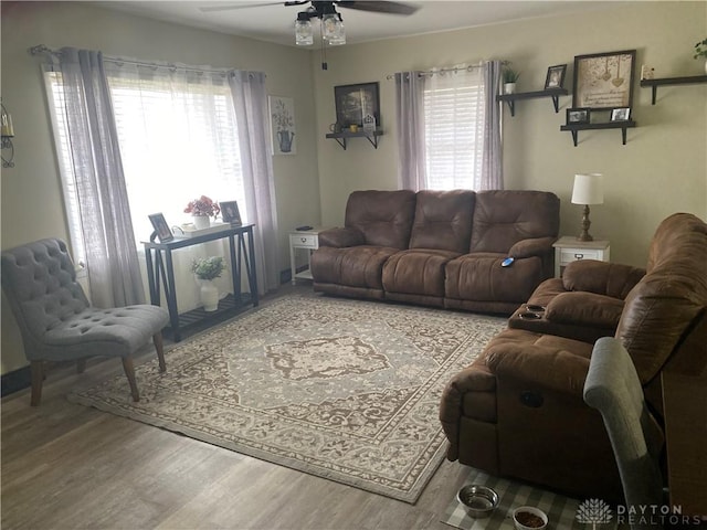 living room with ceiling fan, wood finished floors, and a wealth of natural light