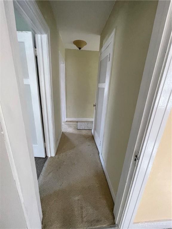 50 Woodcrest Ave, Dayton, OH 45405 - hallway with carpet flooring and baseboards