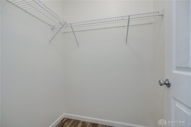 walk in closet featuring dark wood-type flooring