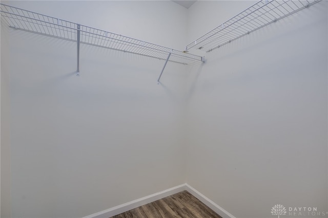 spacious closet with dark wood-style flooring