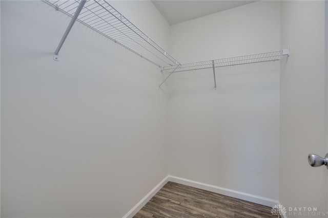 spacious closet with dark wood-type flooring