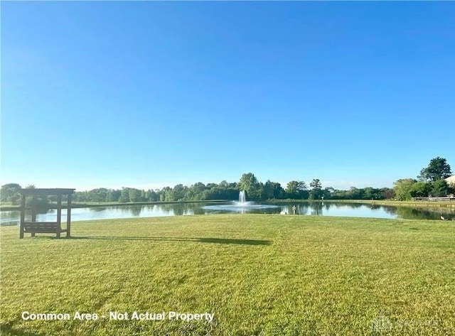 view of water feature