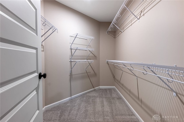 spacious closet with carpet floors