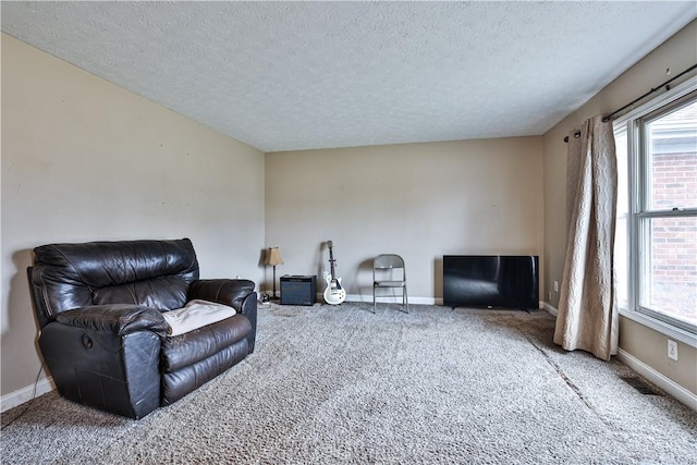 living area with carpet floors, baseboards, and a textured ceiling