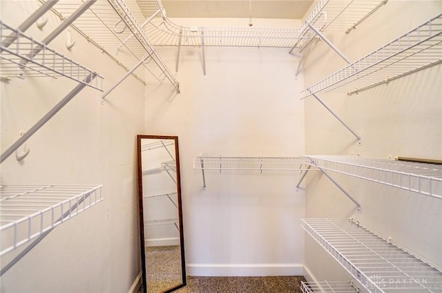 spacious closet with carpet floors