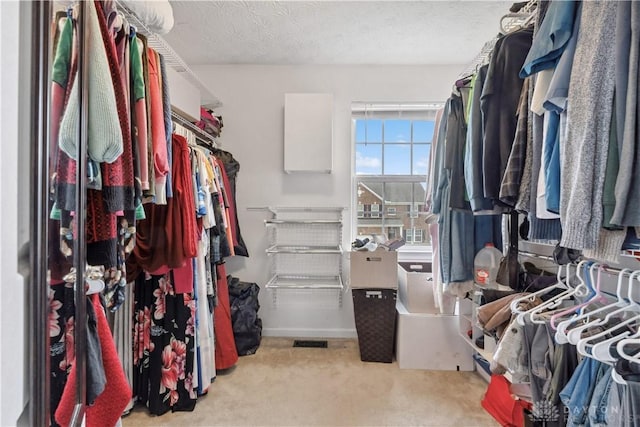 spacious closet featuring carpet