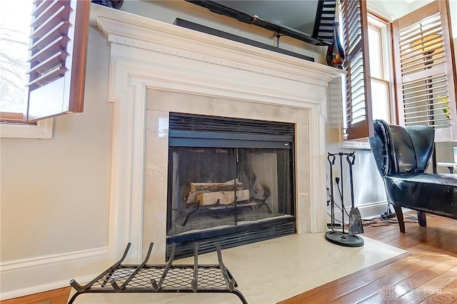 interior details with baseboards, wood finished floors, and a high end fireplace