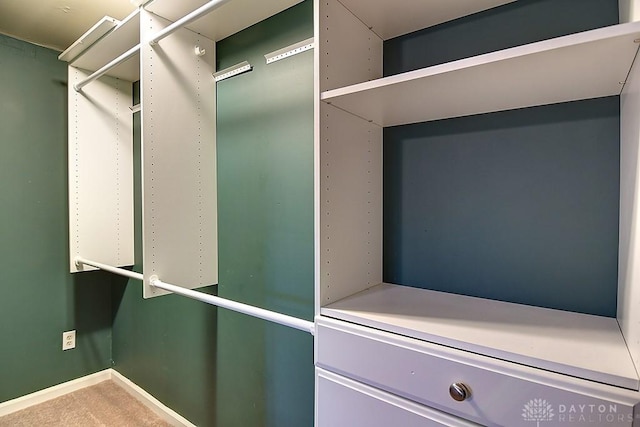 spacious closet featuring carpet floors