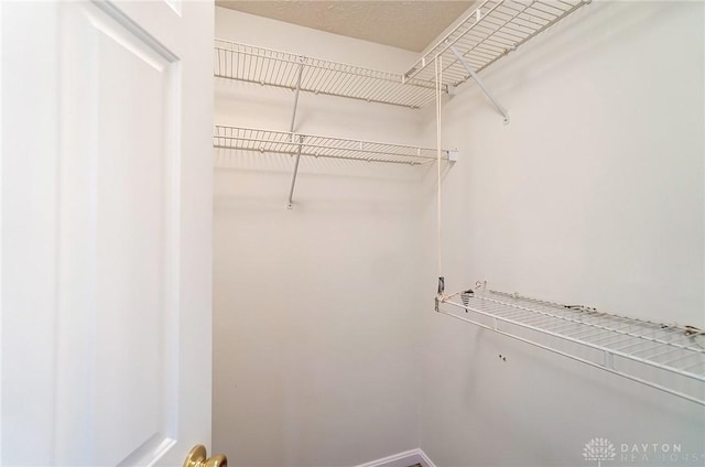 view of spacious closet