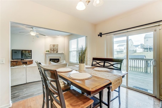 dining room with light wood-style floors, ceiling fan with notable chandelier, and a glass covered fireplace