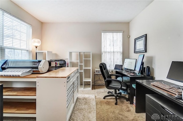 home office with light carpet and a wealth of natural light