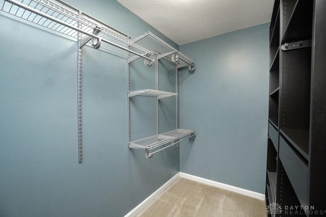 spacious closet with carpet flooring