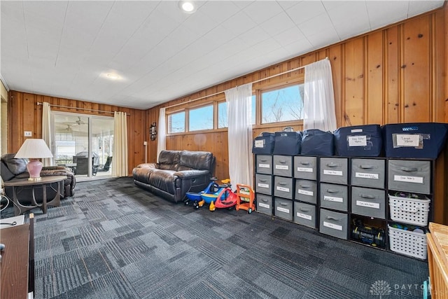 interior space with wood walls