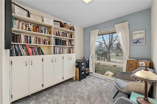 sitting room with carpet floors