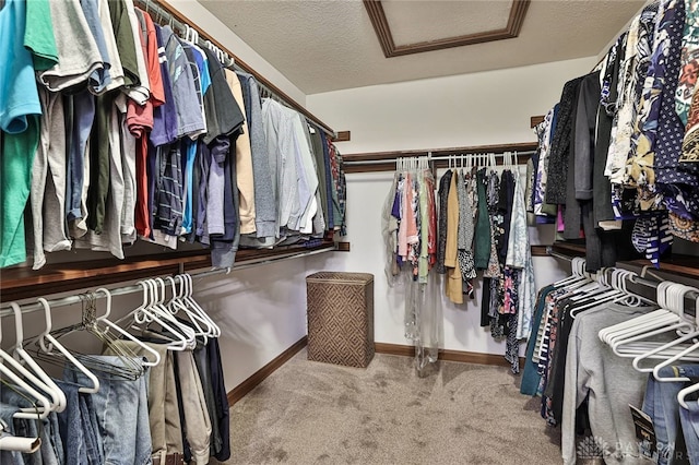 spacious closet with attic access and carpet