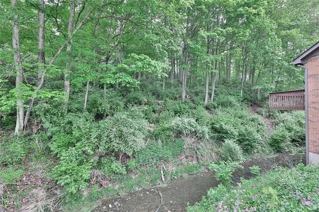 439 Claxton Glen Ct, Dayton, OH 45429 - view of wooded area