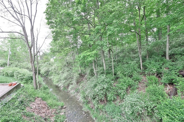 439 Claxton Glen Ct, Dayton, OH 45429 - view of undeveloped land