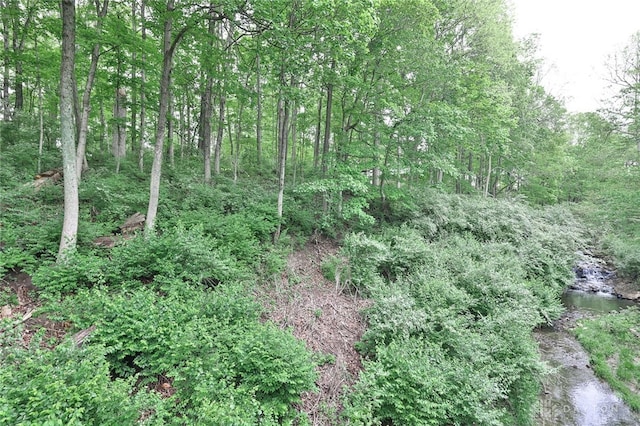 439 Claxton Glen Ct, Dayton, OH 45429 - view of nature