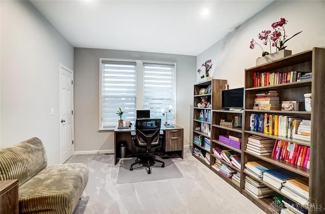 office area featuring baseboards and carpet flooring