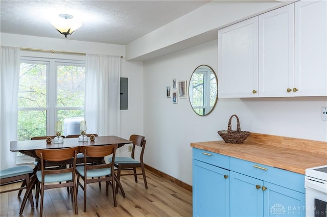 dining space featuring light wood-type flooring, electric panel, plenty of natural light, and baseboards