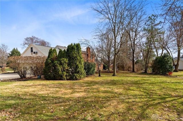 view of yard featuring a garage and driveway