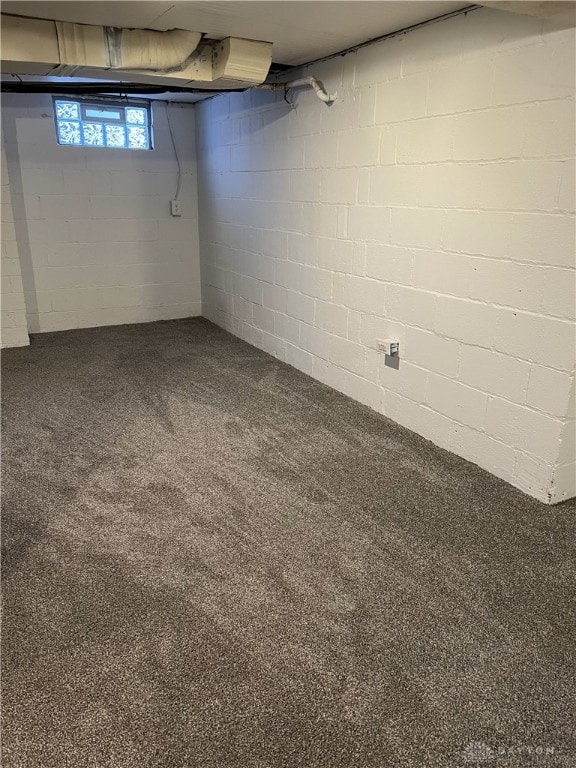 below grade area with carpet