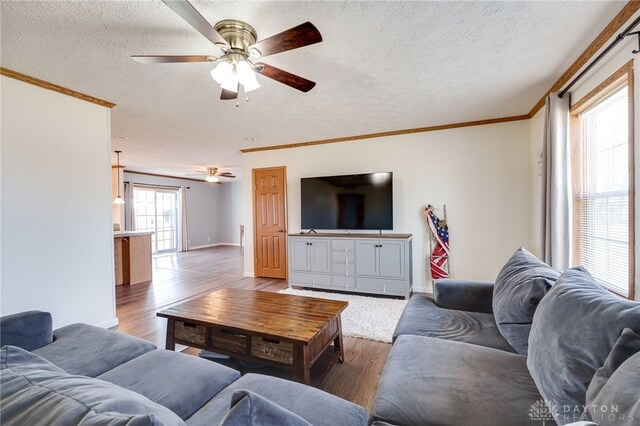 living area featuring crown molding, a textured ceiling, baseboards, and wood finished floors