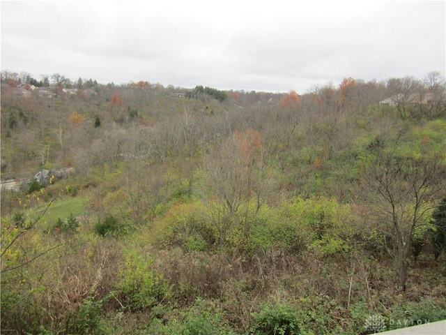 view of nature featuring a view of trees