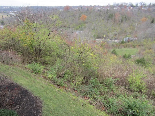 view of nature featuring a view of trees