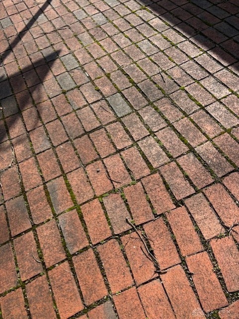 exterior details featuring roof with shingles