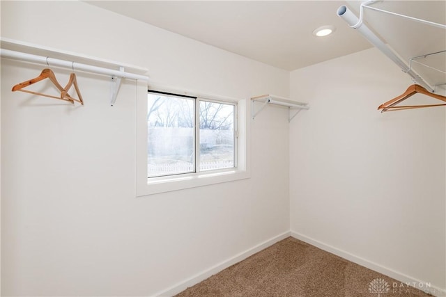 walk in closet featuring carpet floors