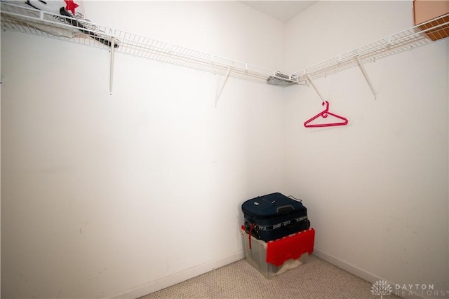 walk in closet with light carpet