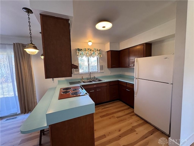 kitchen featuring light wood-style floors, light countertops, a sink, and freestanding refrigerator