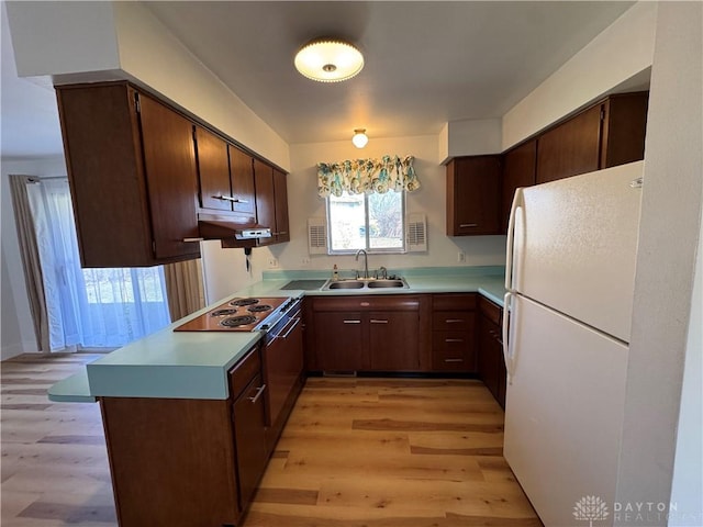 kitchen with under cabinet range hood, a peninsula, a sink, light wood-style floors, and freestanding refrigerator