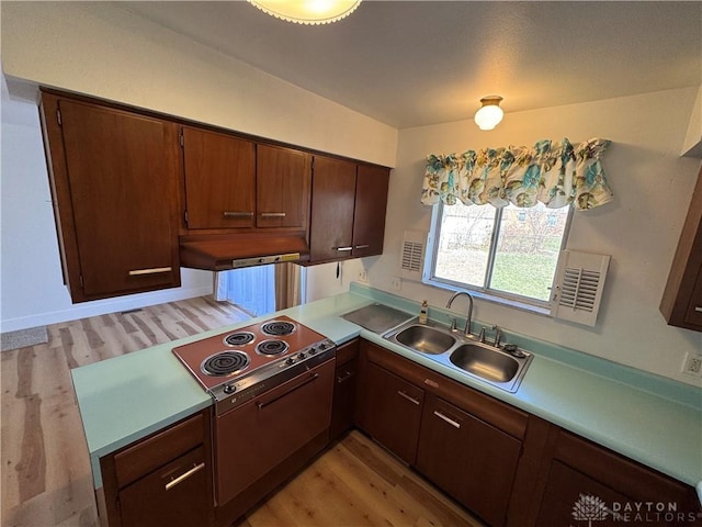 kitchen with light wood-style flooring, under cabinet range hood, a sink, light countertops, and cooktop