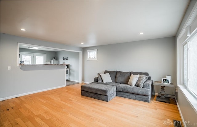 living area featuring a healthy amount of sunlight, baseboards, and wood finished floors