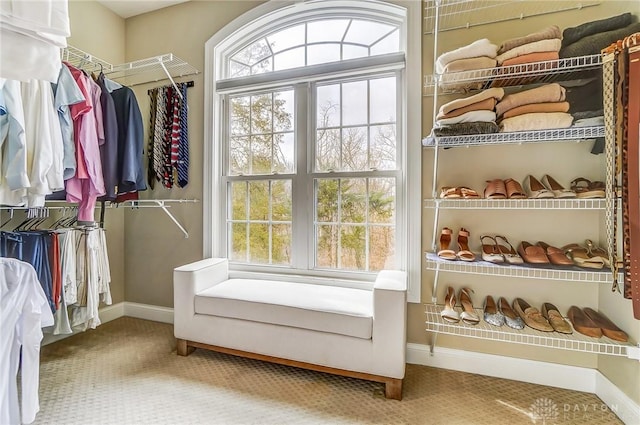 walk in closet with carpet flooring