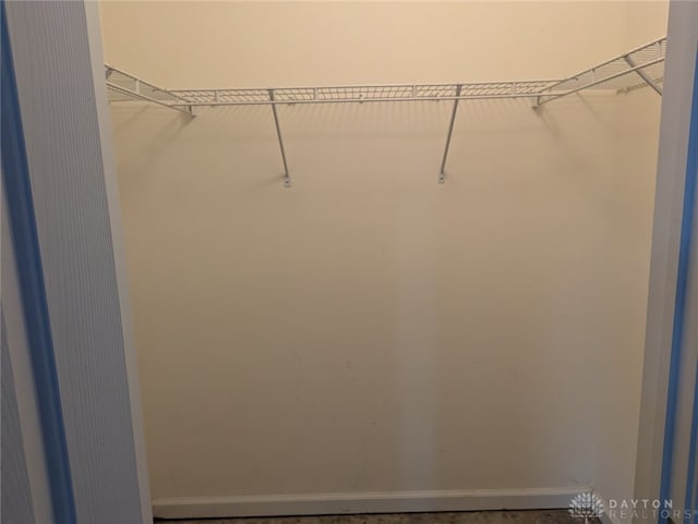 view of walk in closet